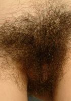 Azelea shows of her hairy pits and bush being a definite hairy coed, Azelea (aze001) ATK Archives: Azelea (Azelea shows of her hairy pits and bush being a definite hairy coed)