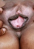 Black model Beauty takes off her lingerie, Beauty (bea012) ATK Exotics: Beauty (Black model Beauty takes off her lingerie)