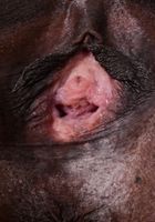 Bella Dahl in exotic and hairy, Bella Dahl (bel052) ATK Natural & Hairy: Bella Dahl (Bella Dahl in exotic and hairy)