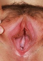 Bess Breast Spreads Her Hairy Pussy, Bess Breast (bes004) ATK Natural & Hairy: Bess Breast (Bess Breast Spreads Her Hairy Pussy)