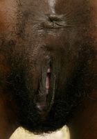 bette in black women, bette (bet020) ATK Exotics: bette (bette in black women)