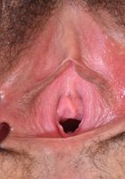 Blair is tugging fur and yanking lips., Blair Summers (bla012) ATK Natural & Hairy: Blair Summers (Blair is tugging fur and yanking lips.)