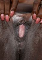 Hot ebony spreads by Black Dahlia, Black Dahlia (bla013) ATK Exotics: Black Dahlia (Hot ebony spreads by Black Dahlia)