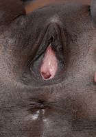 Hot ebony spreads by Black Dahlia, Black Dahlia (bla013) ATK Exotics: Black Dahlia (Hot ebony spreads by Black Dahlia)