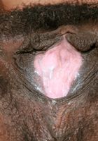 Brandy shows the pink center of her pussy, Brandy (bra030) ATK Exotics: Brandy (Brandy shows the pink center of her pussy)