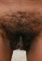 Brandy shows some fur and pussy spreads, Brandy (bra030) ATK Exotics: Brandy (Brandy shows some fur and pussy spreads)