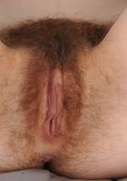 Hairy Brandi makes her debut, Brandi Dandi (bra038) ATK Archives: Brandi Dandi (Hairy Brandi makes her debut)