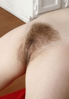 Bratty Wolfie in young and hairy, Bratty Wolfie (bra041) ATK Natural & Hairy: Bratty Wolfie (Bratty Wolfie in young and hairy)