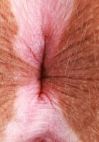 Bratty Wolfie Spreads Outdoors, Bratty Wolfie (bra041) ATK Natural & Hairy: Bratty Wolfie (Bratty Wolfie Spreads Outdoors)