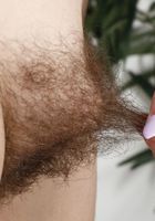 Bratty Wolfie in hairy fun, Bratty Wolfie (bra041) ATK Natural & Hairy: Bratty Wolfie (Bratty Wolfie in hairy fun)