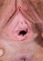 Brielle Woods in young and hairy, Brielle Woods (bri071) ATK Natural & Hairy: Brielle Woods (Brielle Woods in young and hairy)