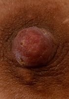 Brooklyn Gray in babes, Brooklyn Gray (bro062) ATK Galleria: Brooklyn Gray (Brooklyn Gray in babes)
