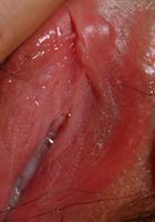 Camille in latinas, Camille (cam013) ATK Exotics: Camille (Camille in latinas)