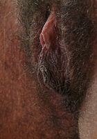 Carly in exotic and hairy, Carly (car014) ATK Natural & Hairy: Carly (Carly in exotic and hairy)