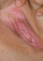 Carolina in latinas, Carolina (car080) ATK Exotics: Carolina (Carolina in latinas)