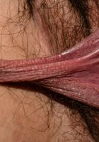 Cece Lachey in young and hairy, Cece Lachey (cec015) ATK Natural & Hairy: Cece Lachey (Cece Lachey in young and hairy)
