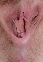 Cece Lachey in young and hairy, Cece Lachey (cec015) ATK Natural & Hairy: Cece Lachey (Cece Lachey in young and hairy)
