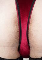 Cece Lachey Lingerie Spreads, Cece Lachey (cec015) ATK Natural & Hairy: Cece Lachey (Cece Lachey Lingerie Spreads)