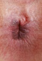 Celestina Blooms Outdoor Upskirt, Celestina Blooms (cel024) ATK Galleria: Celestina Blooms (Celestina Blooms Outdoor Upskirt)
