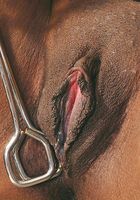 Charise in masturbation, Charise (cha018) ATK Exotics: Charise (Charise in masturbation)