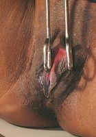 Charise in masturbation, Charise (cha018) ATK Exotics: Charise (Charise in masturbation)