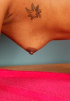 Ebony Chanel fingers herself, Chanell Heart (cha109) ATK Exotics: Chanell Heart (Ebony Chanel fingers herself)