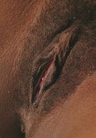 Cherry in upskirts and panties, Cherry (che010) ATK Exotics: Cherry (Cherry in upskirts and panties)