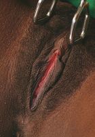 Cherry in upskirts and panties, Cherry (che010) ATK Exotics: Cherry (Cherry in upskirts and panties)