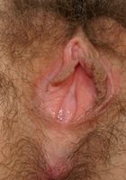 Naughty babe Cherry strips and shows her thick hairy pussy, Cherry (che027) ATK Archives: Cherry (Naughty babe Cherry strips and shows her thick hairy pussy)