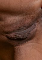 Latina Chloe spreads outside, Chloe Amour (chl035) ATK Exotics: Chloe Amour (Latina Chloe spreads outside)