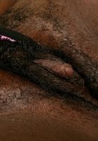 Chocolate Strips and Toys Herself, Chocolate (cho003) ATK Natural & Hairy: Chocolate (Chocolate Strips and Toys Herself)