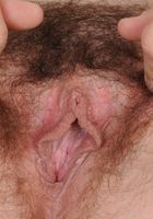 Hairy MILF Cindi spreads her ass, Cindi Thompson (cin042) ATK Archives: Cindi Thompson (Hairy MILF Cindi spreads her ass)