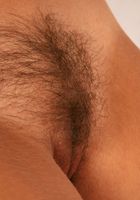 Hairy babe Claudia teases in her lingerie., Claudia (cla029) ATK Exotics: Claudia (Hairy babe Claudia teases in her lingerie.)