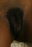 Constance in upskirts and panties, Constance (con010) ATK Exotics: Constance (Constance in upskirts and panties)
