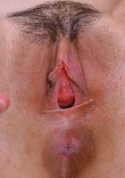 Constance in latinas, Constance (con013) ATK Exotics: Constance (Constance in latinas)