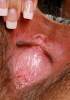 Daisy in exotic and hairy, Daisy (dai012) ATK Petites: Daisy (Daisy in exotic and hairy)
