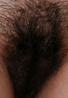 Daisy in exotic and hairy, Daisy (dai012) ATK Natural & Hairy: Daisy (Daisy in exotic and hairy)