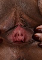 Daisy in black women, Daisy (dai027) ATK Exotics: Daisy (Daisy in black women)