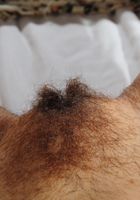 Hairy and exotic Danielle shows her bush, Danielle (dan085) ATK Archives: Danielle (Hairy and exotic Danielle shows her bush)