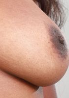 Daya Knight in amateur, Daya Knight (day002) ATK Exotics: Daya Knight (Daya Knight in amateur)