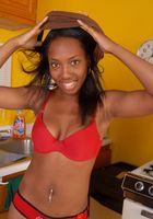 Dazz in toys, Dazz (daz001) ATK Exotics: Dazz (Dazz in toys)