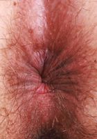 Delta Hauser Nude Workout, Delta Hauser (del038) ATK Natural & Hairy: Delta Hauser (Delta Hauser Nude Workout)