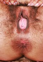 Delta Hauser Sexy Strip Down, Delta Hauser (del038) ATK Natural & Hairy: Delta Hauser (Delta Hauser Sexy Strip Down)