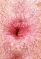 Delilah Day Upskirt Tease, Delilah Day (del040) ATK Petites: Delilah Day (Delilah Day Upskirt Tease)