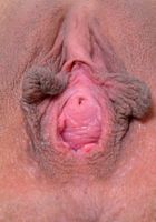 Demi Lopez is as sexy as her pussy is pink, Demi Lopez (dem005) ATK Exotics: Demi Lopez (Demi Lopez is as sexy as her pussy is pink)