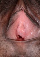 Janelle Taylor in exotic and hairy, Janelle Taylor (dia053) ATK Natural & Hairy: Janelle Taylor (Janelle Taylor in exotic and hairy)