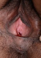 Janelle Taylor in exotic and hairy, Janelle Taylor (dia053) ATK Natural & Hairy: Janelle Taylor (Janelle Taylor in exotic and hairy)