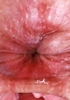 Dria Submits Dress Stripping, Dria Submits (dri003) ATK Natural & Hairy: Dria Submits (Dria Submits Dress Stripping)