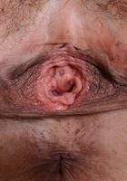 Elexis Monroe in mature and hairy, Elexis Monroe (ele006) ATK Natural & Hairy: Elexis Monroe (Elexis Monroe in mature and hairy)