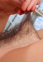 Elexis spreads her hairy twat, Elexis Monroe (ele006) ATK Natural & Hairy: Elexis Monroe (Elexis spreads her hairy twat)